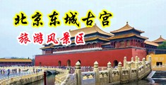 深圳烧逼26中国北京-东城古宫旅游风景区